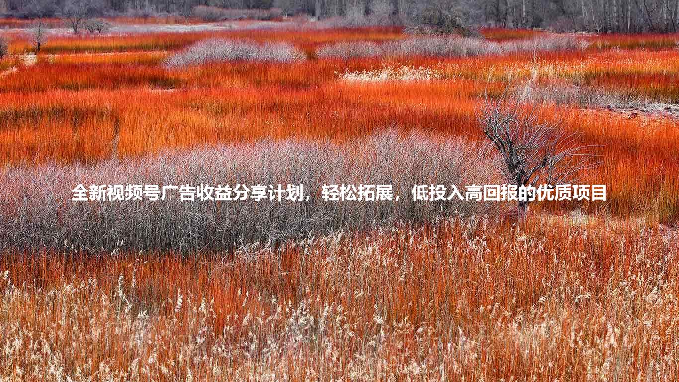 全新视频号广告收益分享计划,轻松拓展,低投入高回报的优质项目