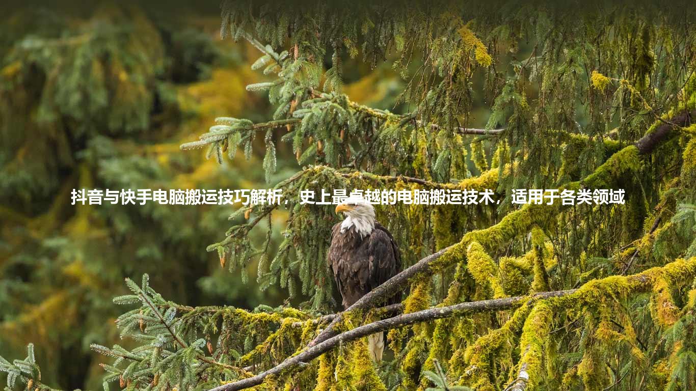 抖音与快手电脑搬运技巧解析,史上最卓越的电脑搬运技术,适用于各类领域