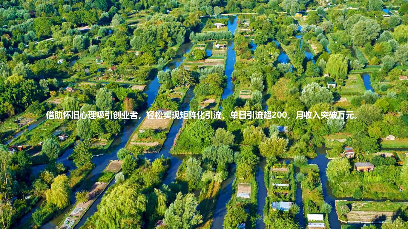 借助怀旧心理吸引创业者，轻松实现矩阵化引流，单日引流超200，月收入突破万元。