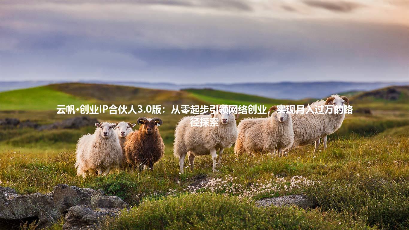 云帆·创业IP合伙人3.0版：从零起步引领网络创业，实现月入过万的路径探索
