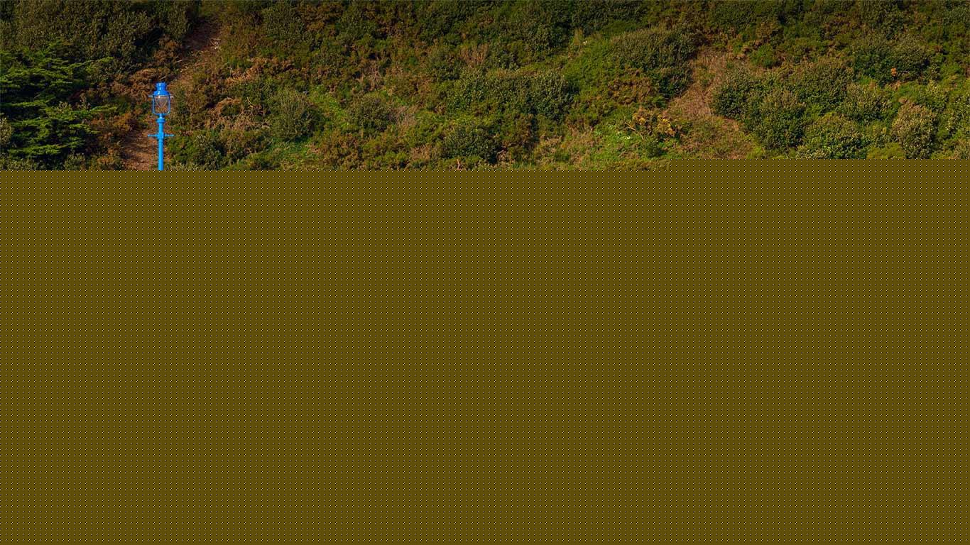 AI国学私域运营模型，月度单号实现过万元变现