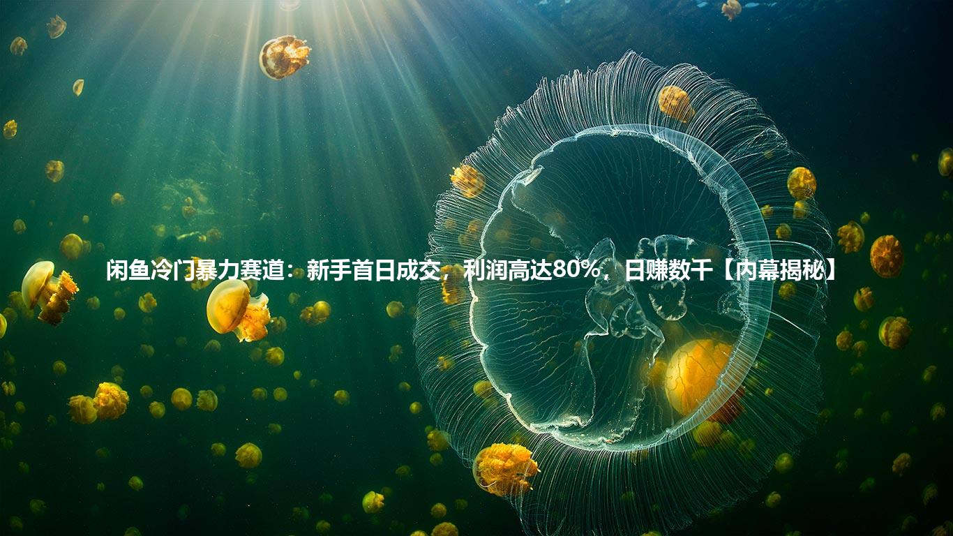 闲鱼冷门暴力赛道:新手首日成交,利润高达80%,日赚数千【内幕揭秘】