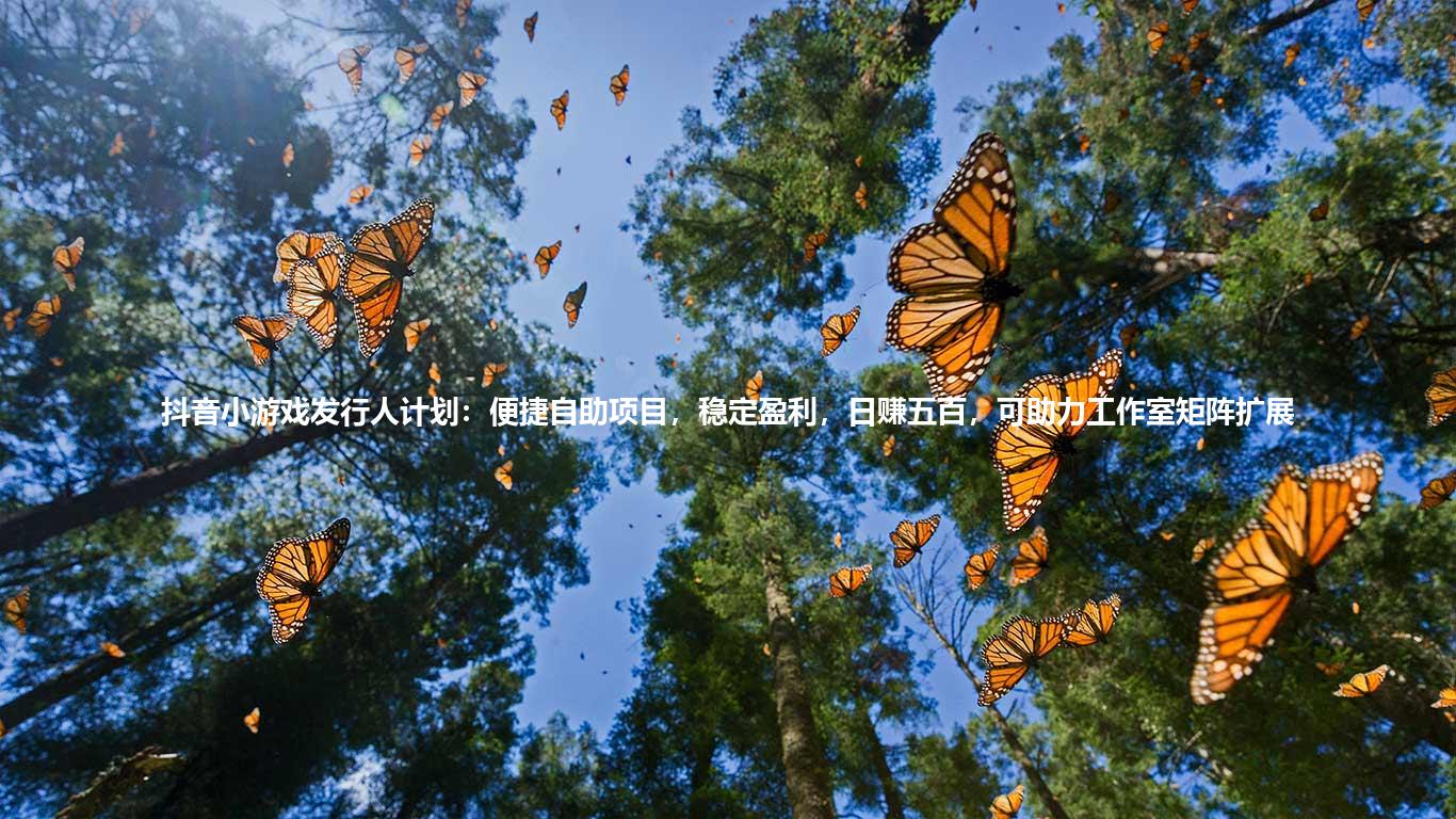 抖音小游戏发行人计划：便捷自助项目，稳定盈利，日赚五百，可助力工作室矩阵扩展