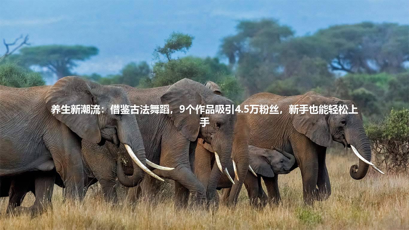 养生新潮流:借鉴古法舞蹈,9个作品吸引4.5万粉丝,新手也能轻松上手