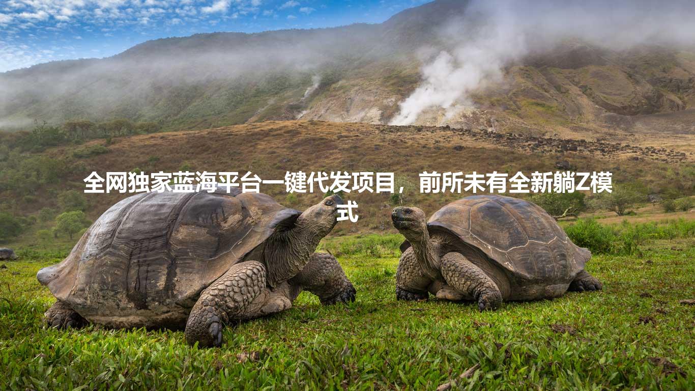 全网独家蓝海平台一键代发项目，前所未有全新躺Z模式