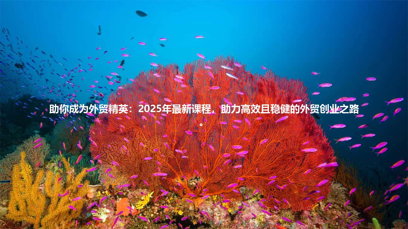 助你成为外贸精英：2025年最新课程，助力高效且稳健的外贸创业之路。