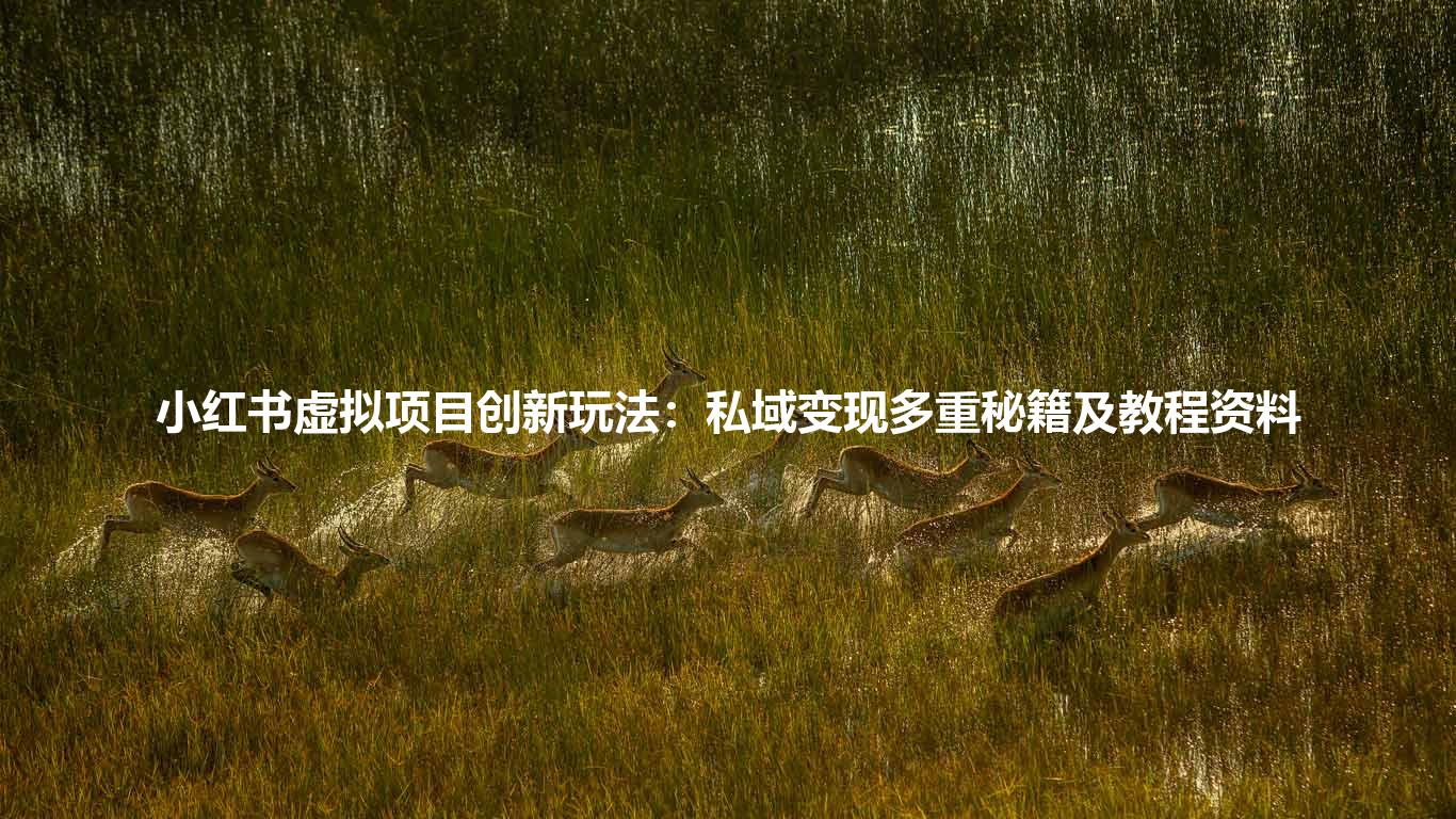 小红书虚拟项目创新玩法:私域变现多重秘籍及教程资料