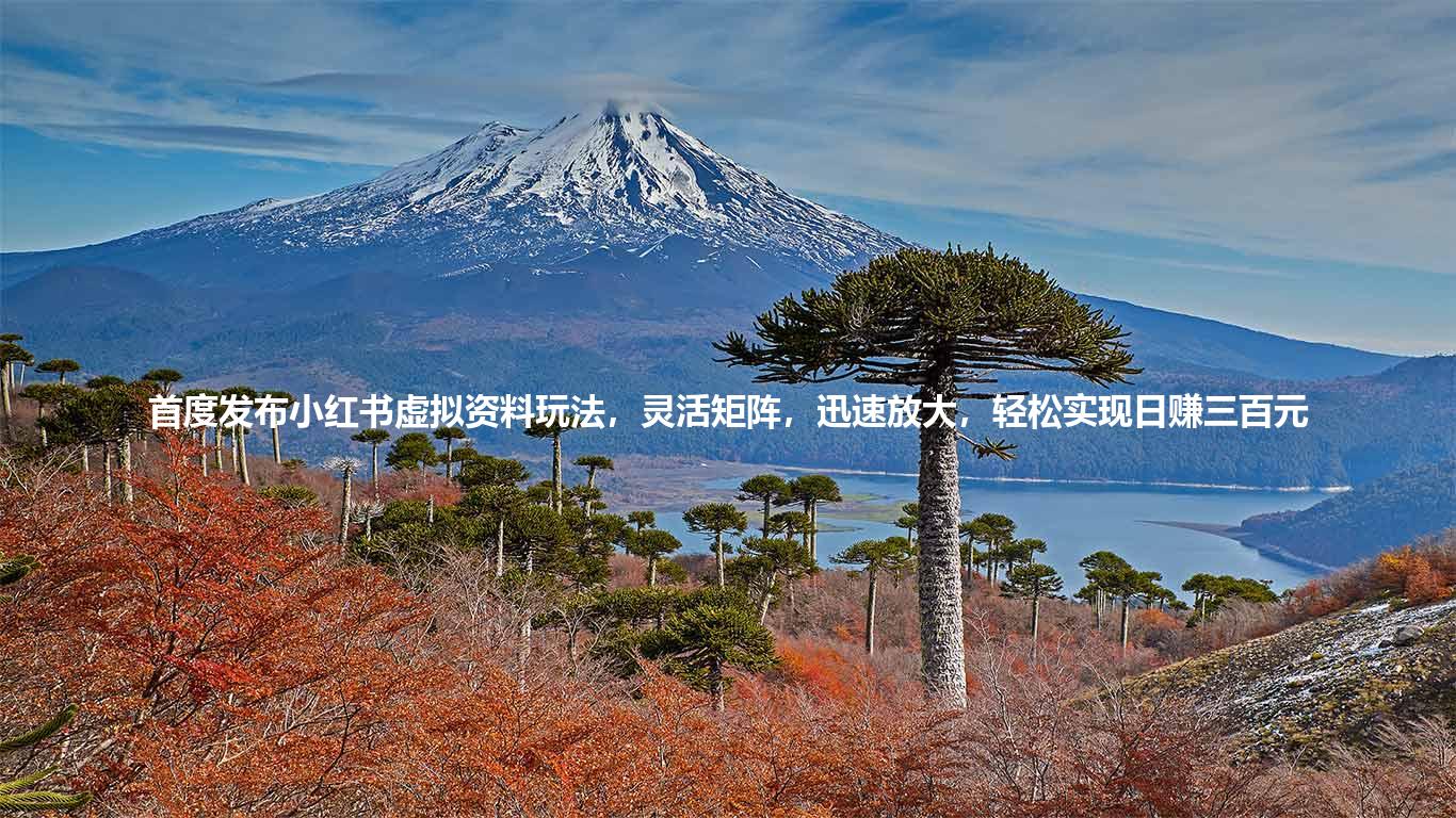 首度发布小红书虚拟资料玩法,灵活矩阵,迅速放大,轻松实现日赚三百元