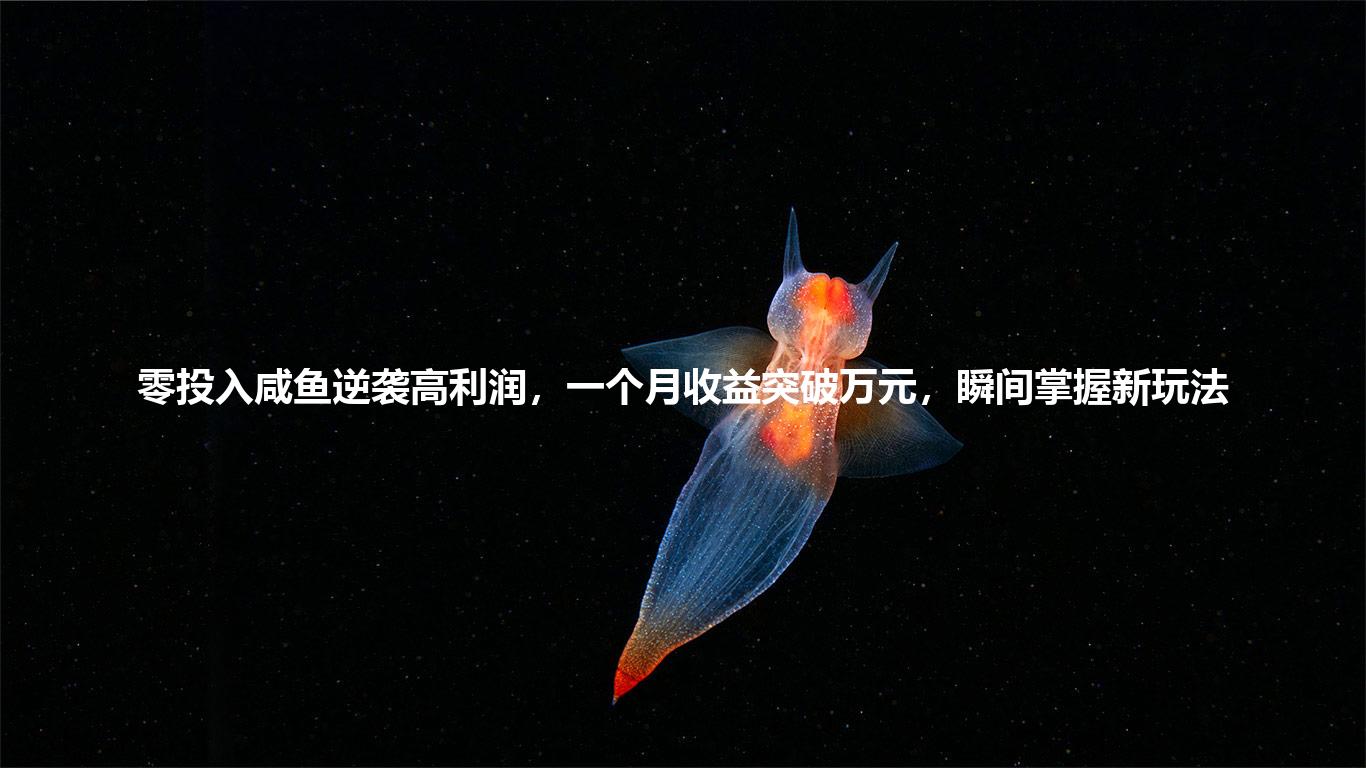 零投入咸鱼逆袭高利润,一个月收益突破万元,瞬间掌握新玩法