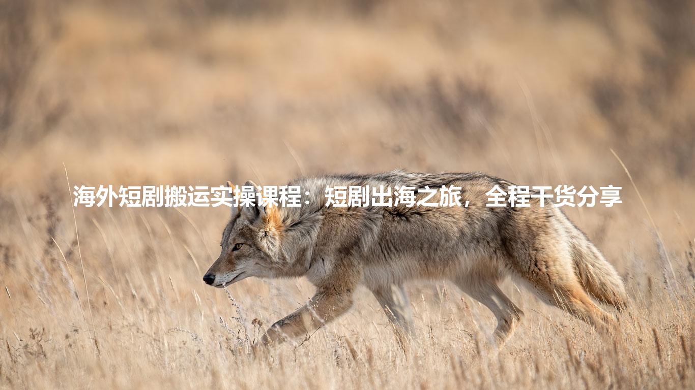 海外短剧搬运实操课程:短剧出海之旅,全程干货分享