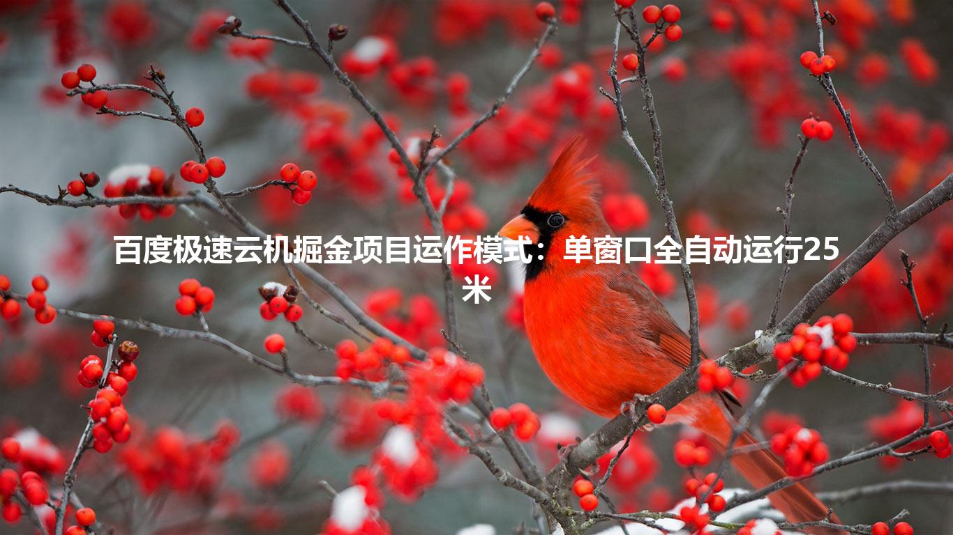 百度极速云机掘金项目运作模式：单窗口全自动运行25米