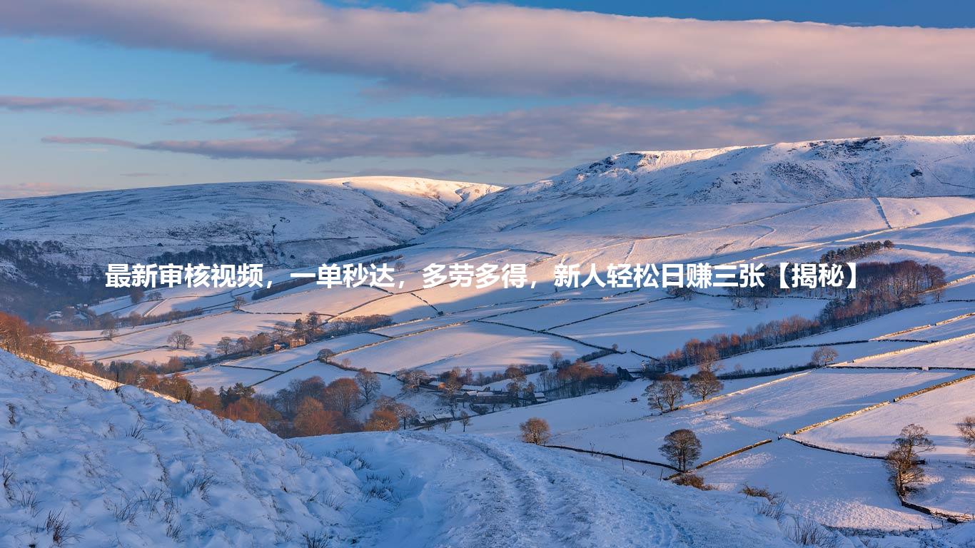 最新审核视频,一单秒达,多劳多得,新人轻松日赚三张【揭秘】