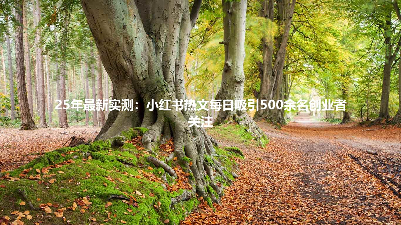 25年最新实测:小红书热文每日吸引500余名创业者关注