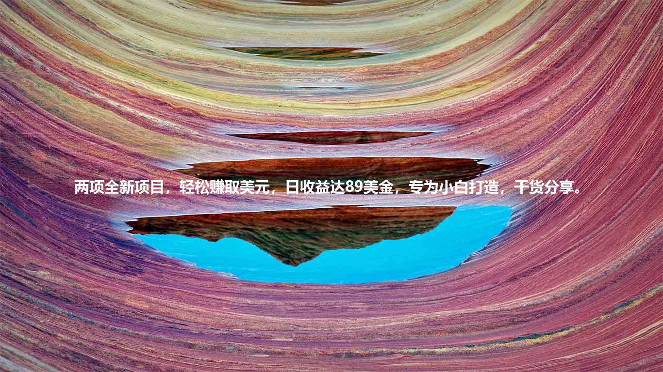 两项全新项目，轻松赚取美元，日收益达89美金，专为小白打造，干货分享。