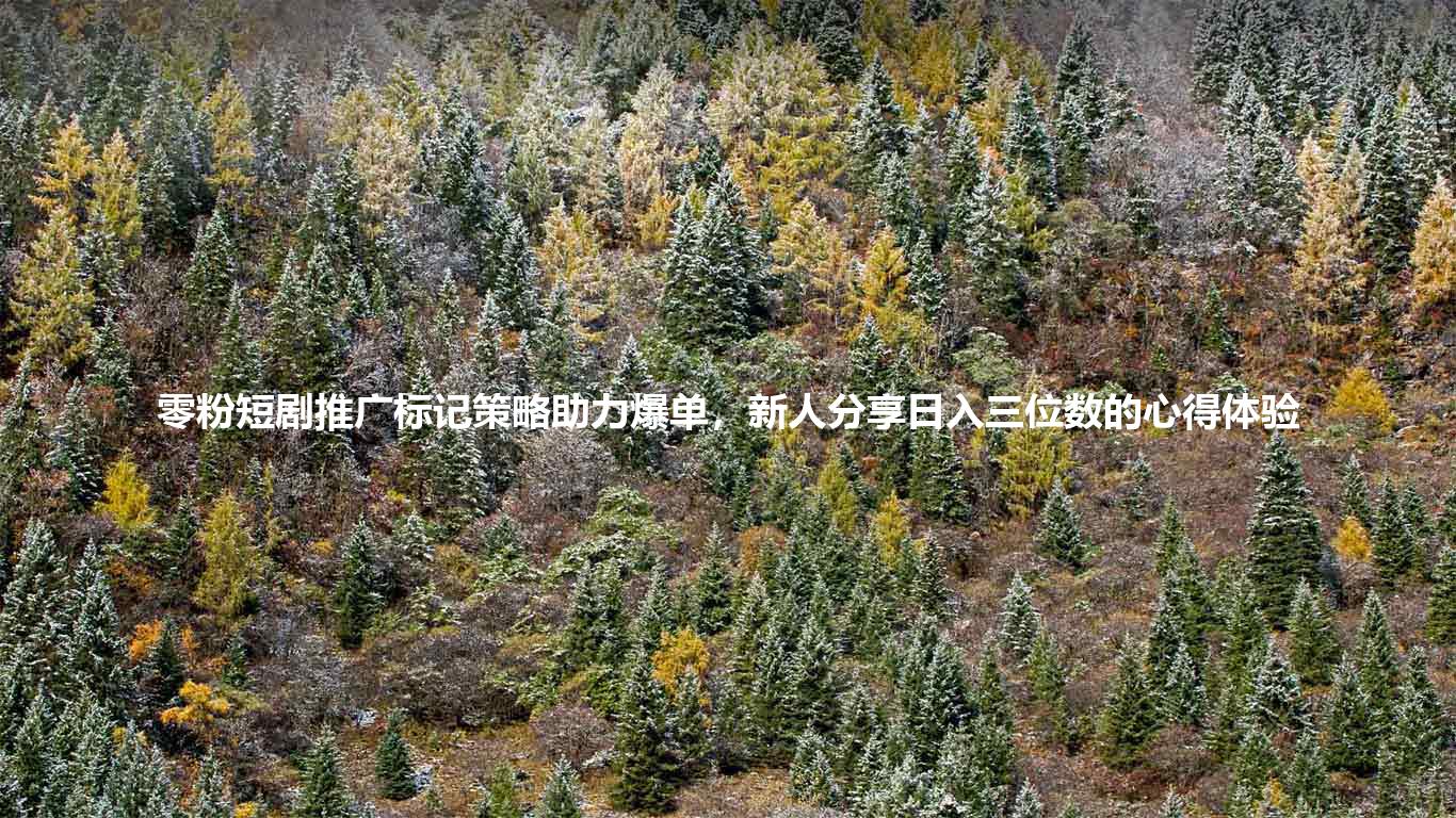 零粉短剧推广标记策略助力爆单，新人分享日入三位数的心得体验