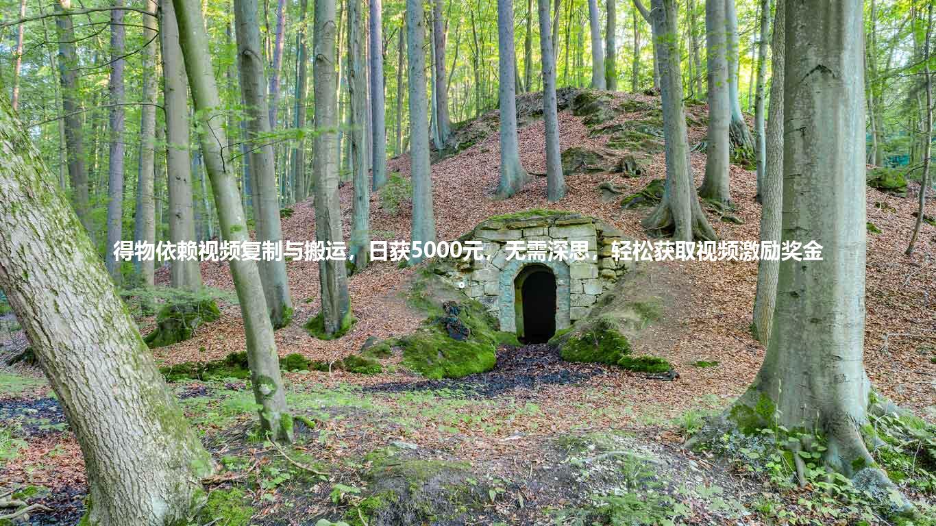 得物依赖视频复制与搬运,日获5000元,无需深思,轻松获取视频激励奖金。