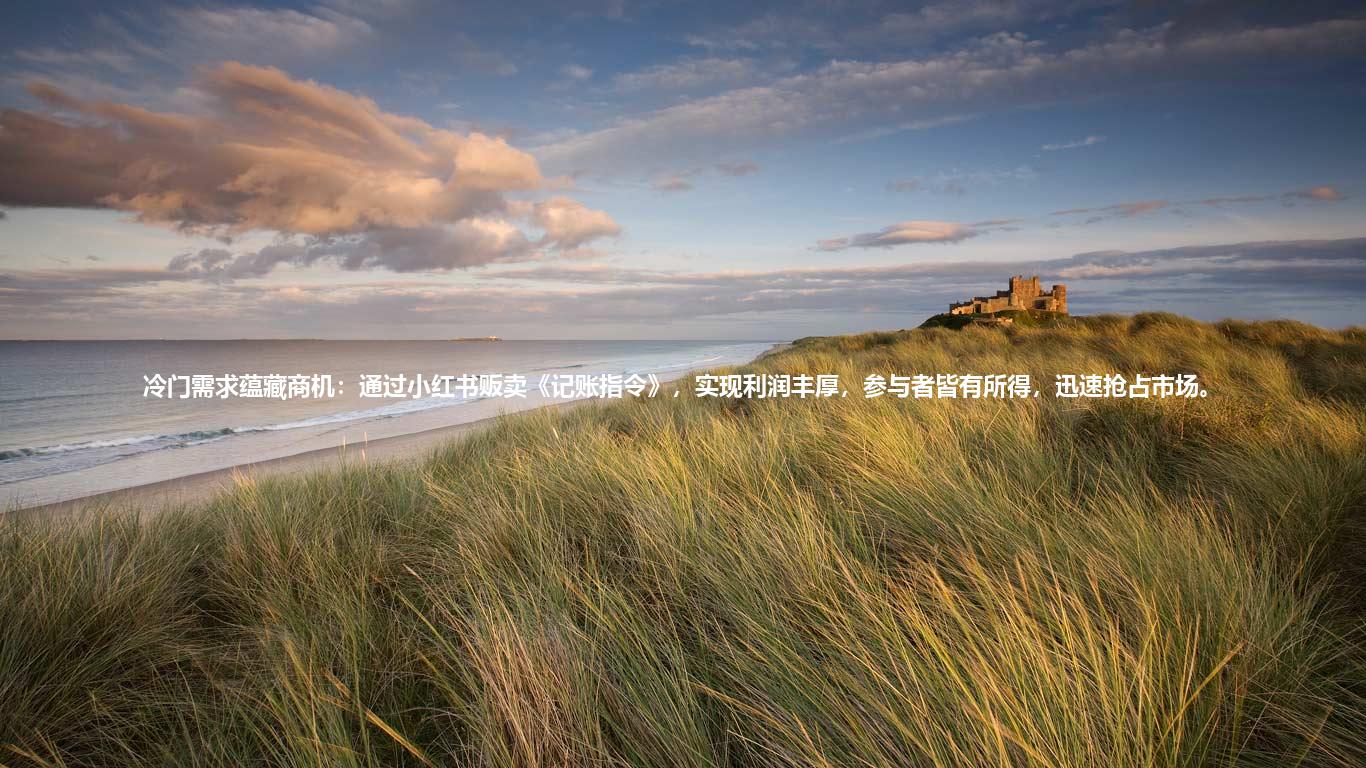 冷门需求蕴藏商机：通过小红书贩卖《记账指令》，实现利润丰厚，参与者皆有所得，迅速抢占市场。