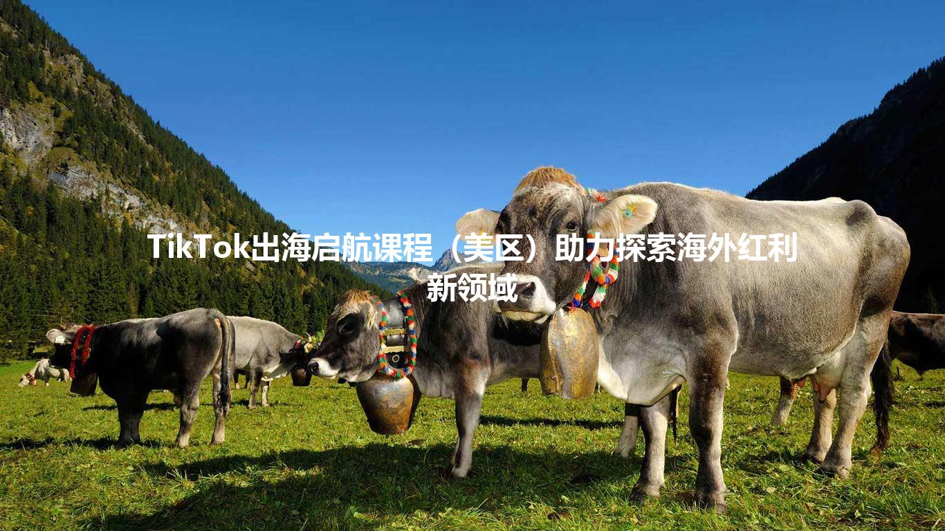 TikTok出海启航课程(美区)助力探索海外红利新领域