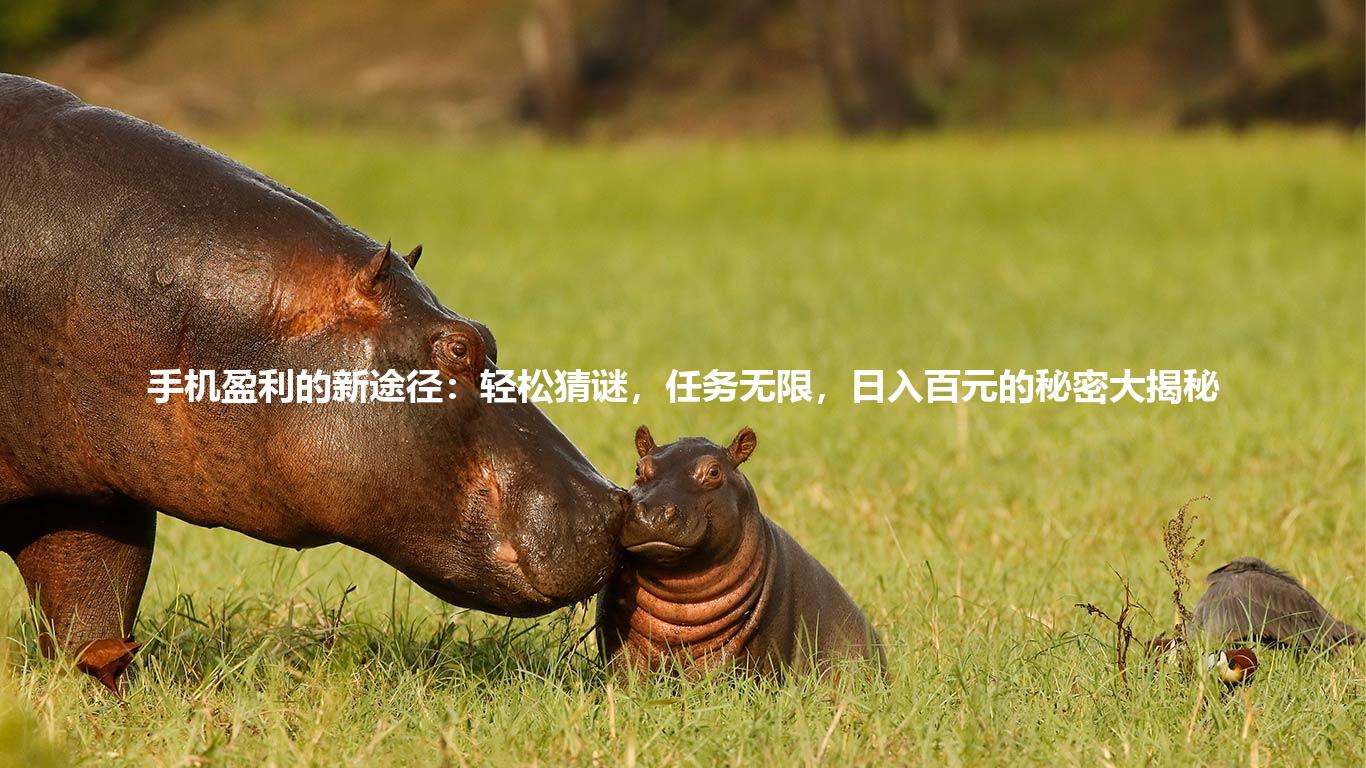 手机盈利的新途径:轻松猜谜,任务无限,日入百元的秘密大揭秘