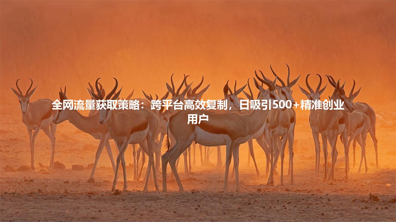 全网流量获取策略：跨平台高效复制，日吸引500+精准创业用户