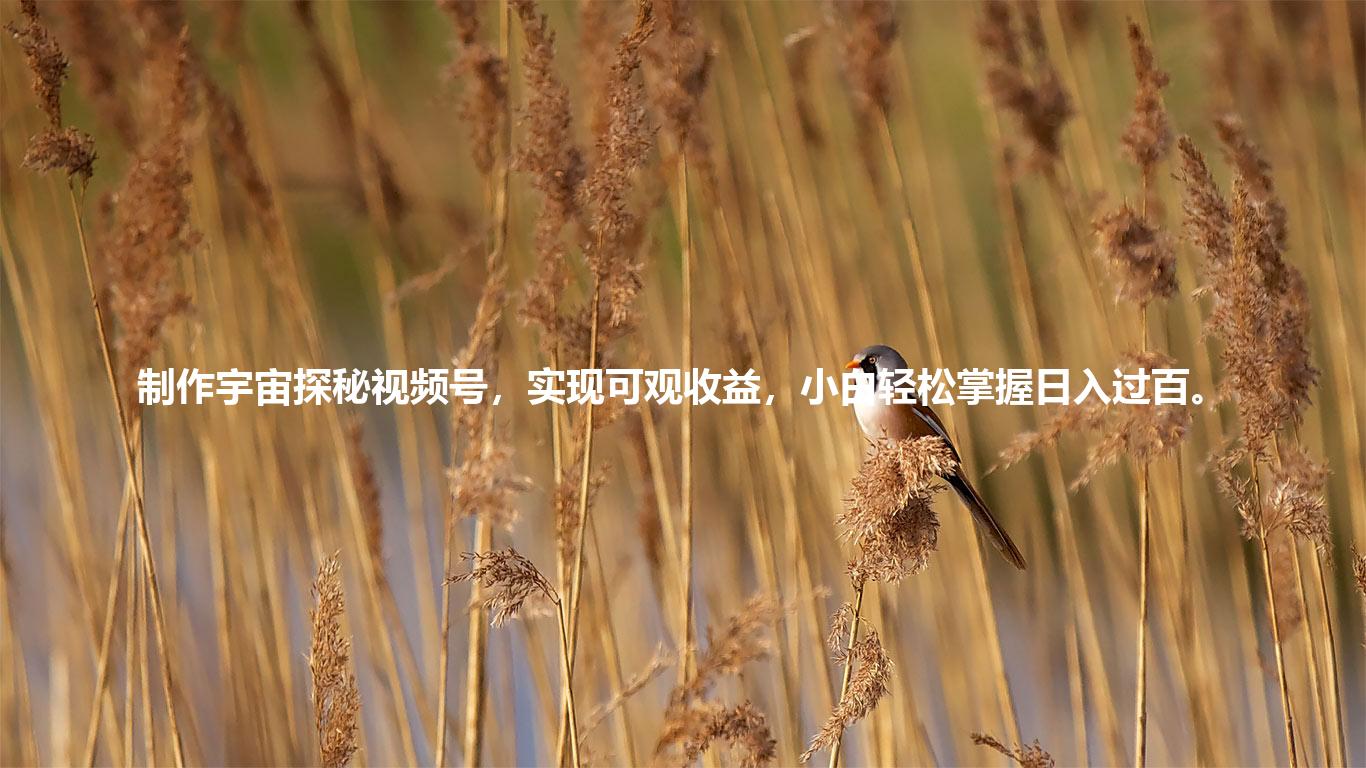 制作宇宙探秘视频号，实现可观收益，小白轻松掌握日入过百。