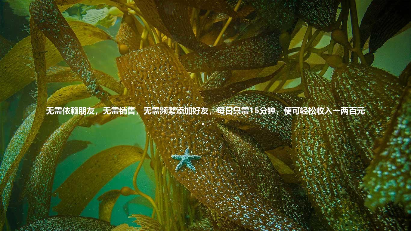 无需依赖朋友，无需销售，无需频繁添加好友，每日只需15分钟，便可轻松收入一两百元。
