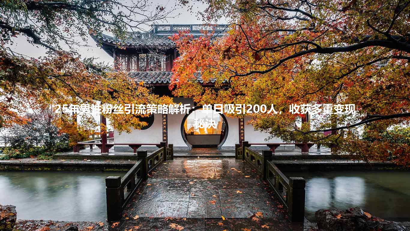 25年男性粉丝引流策略解析：单日吸引200人，收获多重变现秘诀