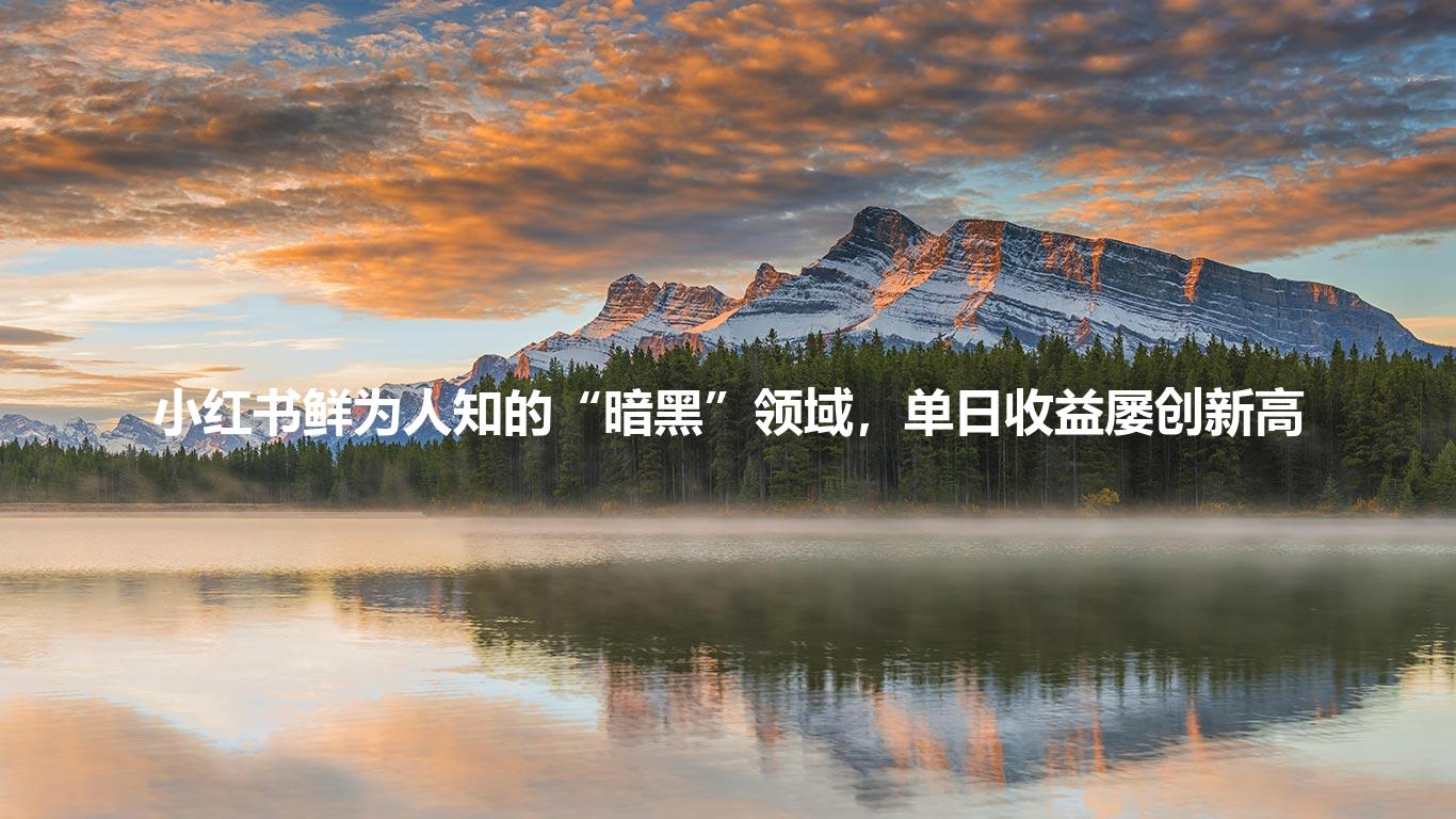 小红书鲜为人知的“暗黑”领域,单日收益屡创新高