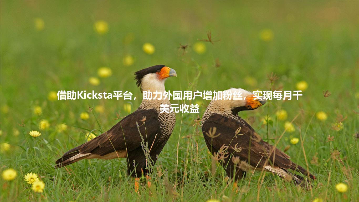 借助Kicksta平台，助力外国用户增加粉丝，实现每月千美元收益