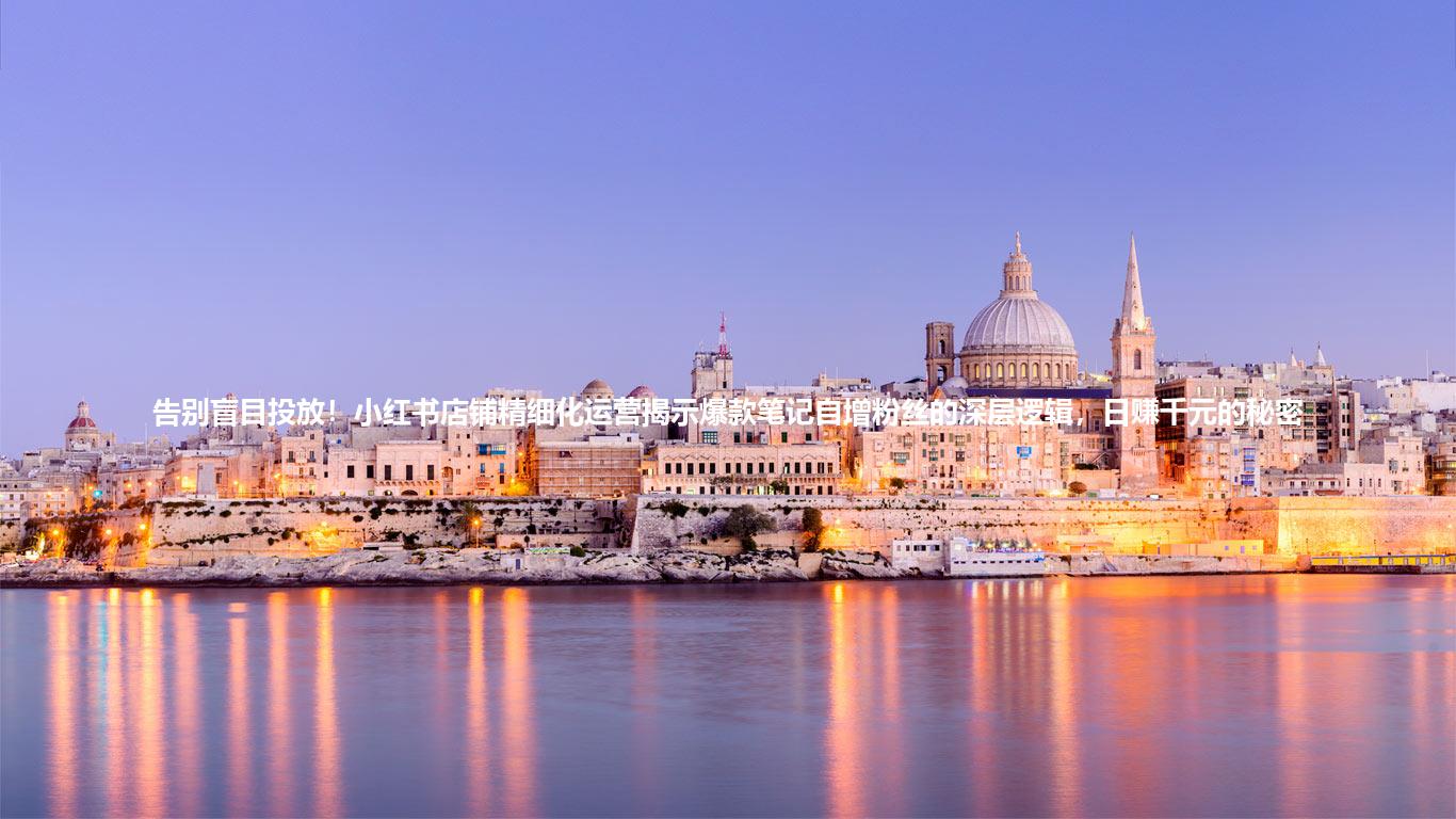 告别盲目投放!小红书店铺精细化运营揭示爆款笔记自增粉丝的深层逻辑,日赚千元的秘密