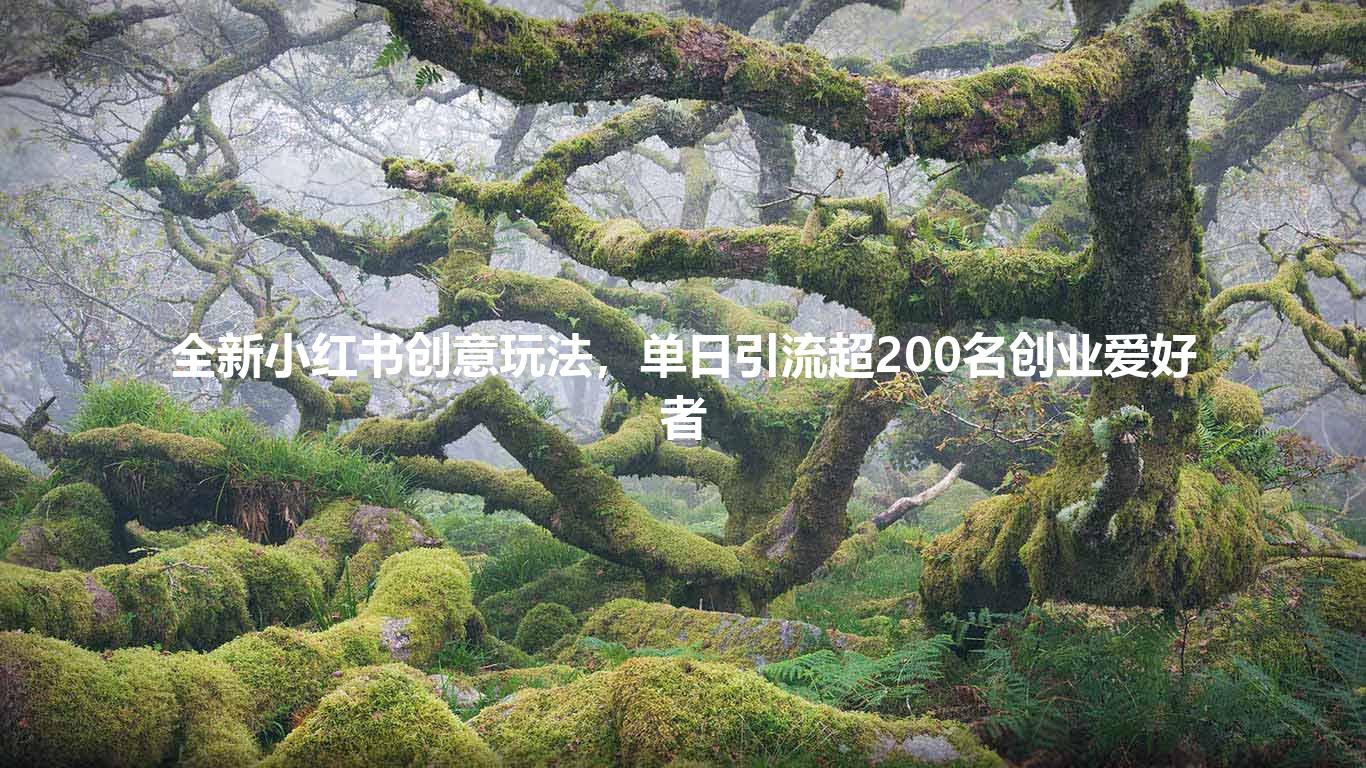 全新小红书创意玩法，单日引流超200名创业爱好者