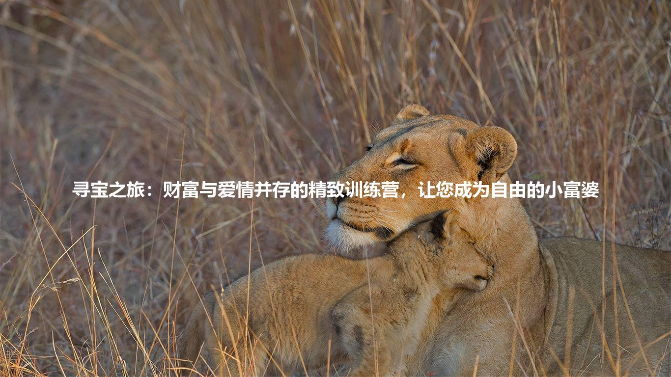 寻宝之旅：财富与爱情并存的精致训练营，让您成为自由的小富婆