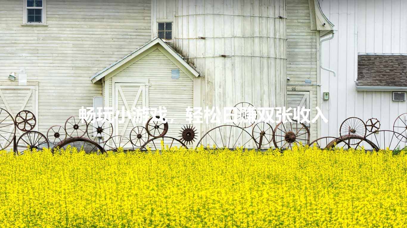 畅玩小游戏,轻松日赚双张收入