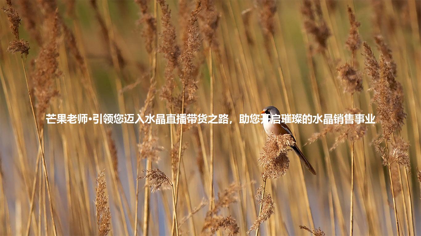 芒果老师·引领您迈入水晶直播带货之路,助您开启璀璨的水晶销售事业