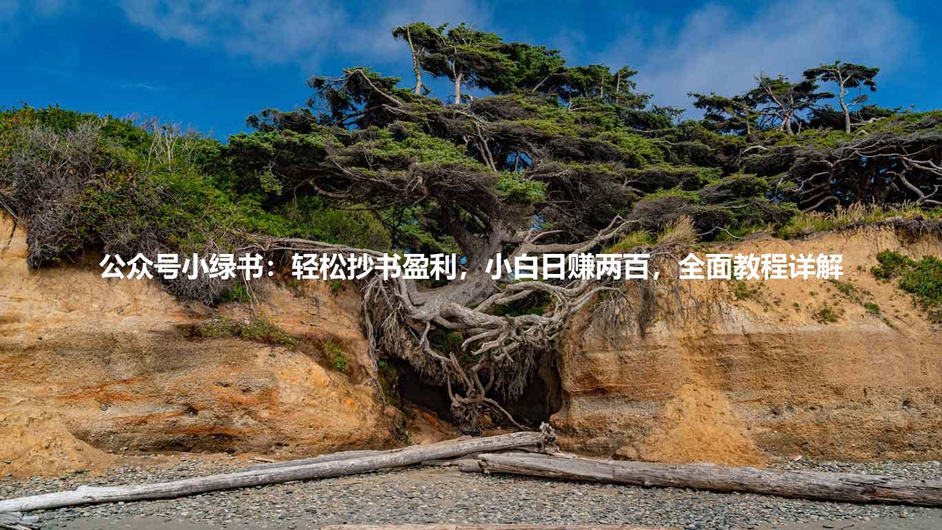 公众号小绿书：轻松抄书盈利，小白日赚两百，全面教程详解