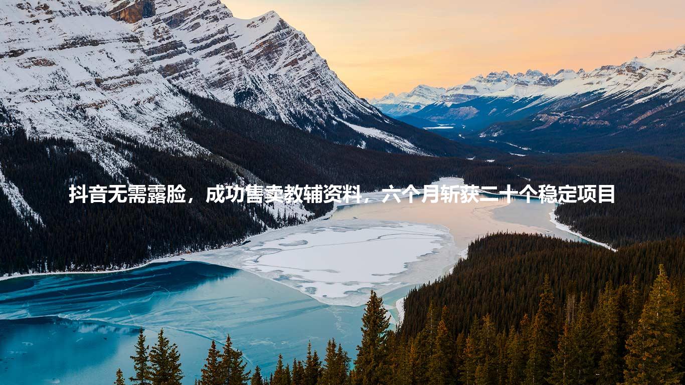 抖音无需露脸,成功售卖教辅资料,六个月斩获二十个稳定项目