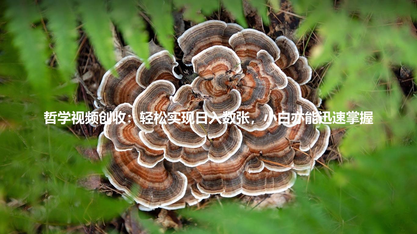 哲学视频创收：轻松实现日入数张，小白亦能迅速掌握