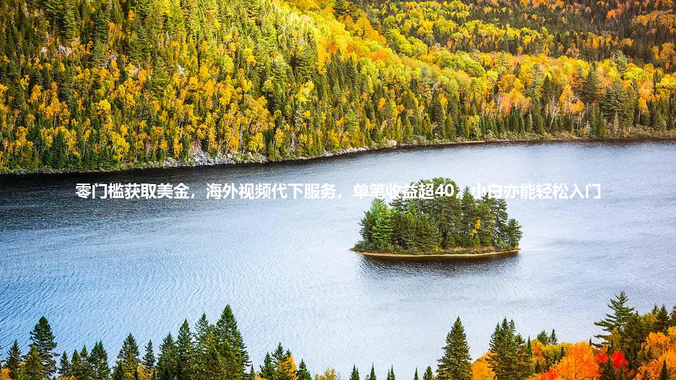 零门槛获取美金,海外视频代下服务,单笔收益超40,小白亦能轻松入门