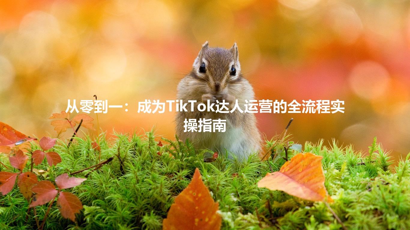 从零到一：成为TikTok达人运营的全流程实操指南