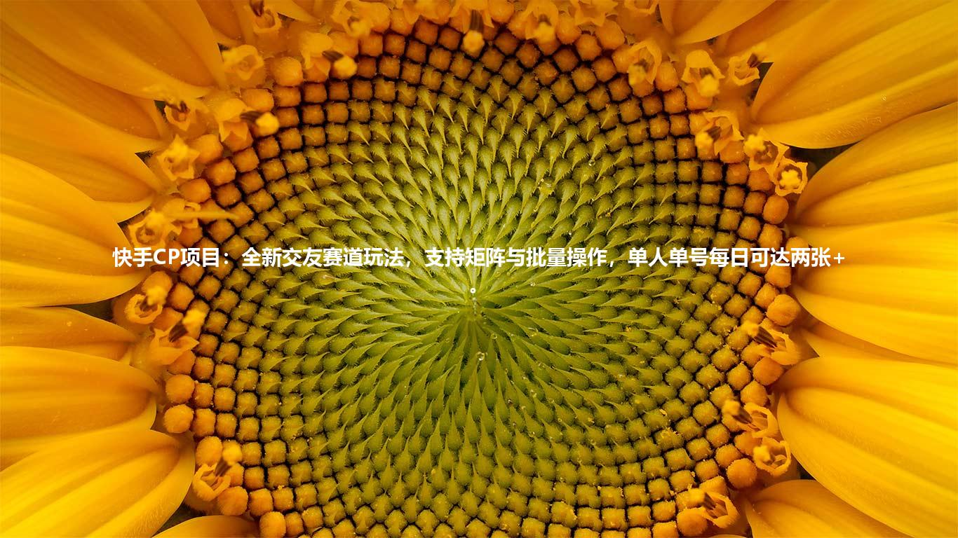 快手CP项目：全新交友赛道玩法，支持矩阵与批量操作，单人单号每日可达两张+。
