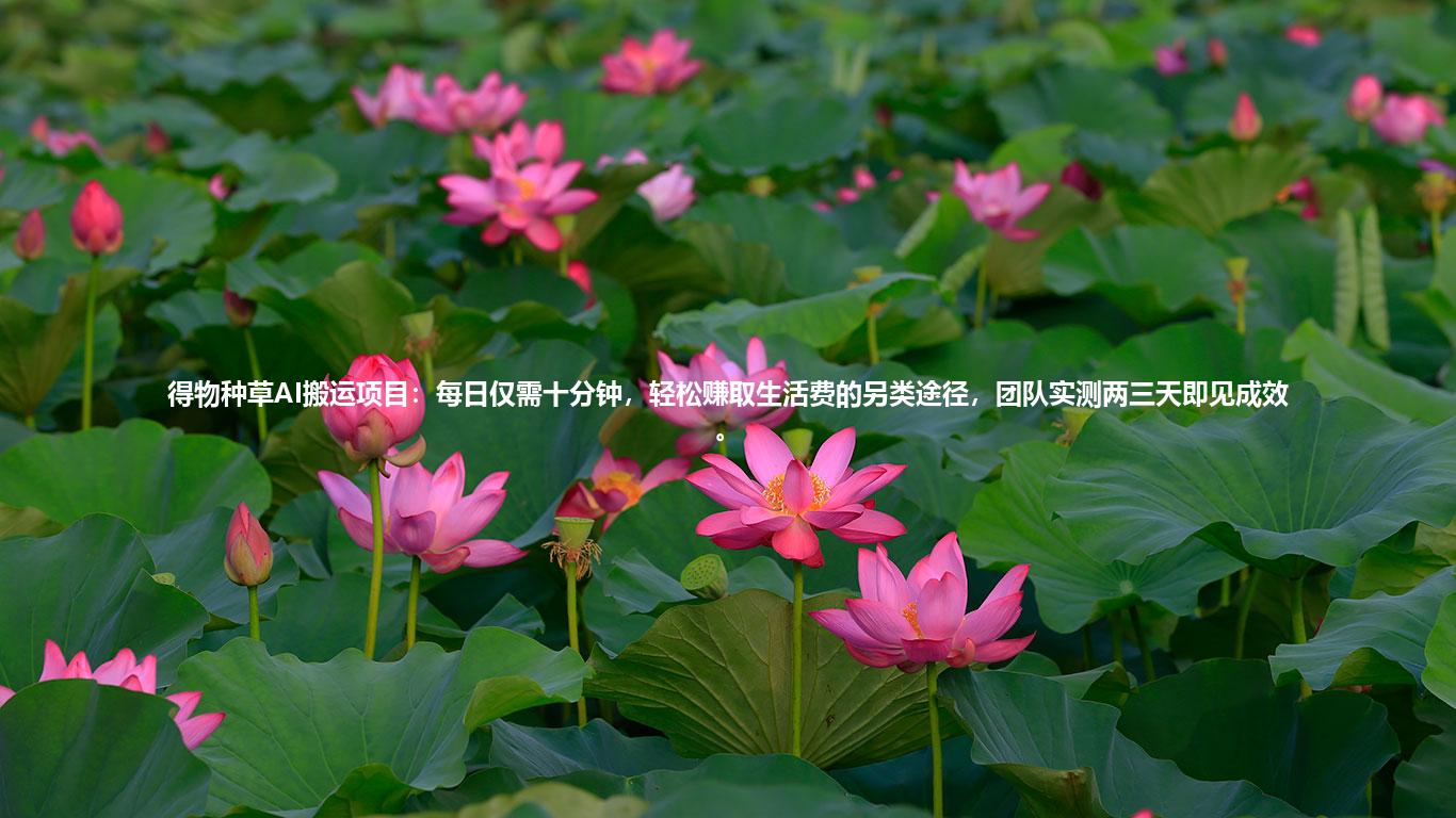 得物种草AI搬运项目:每日仅需十分钟,轻松赚取生活费的另类途径,团队实测两三天即见成效。