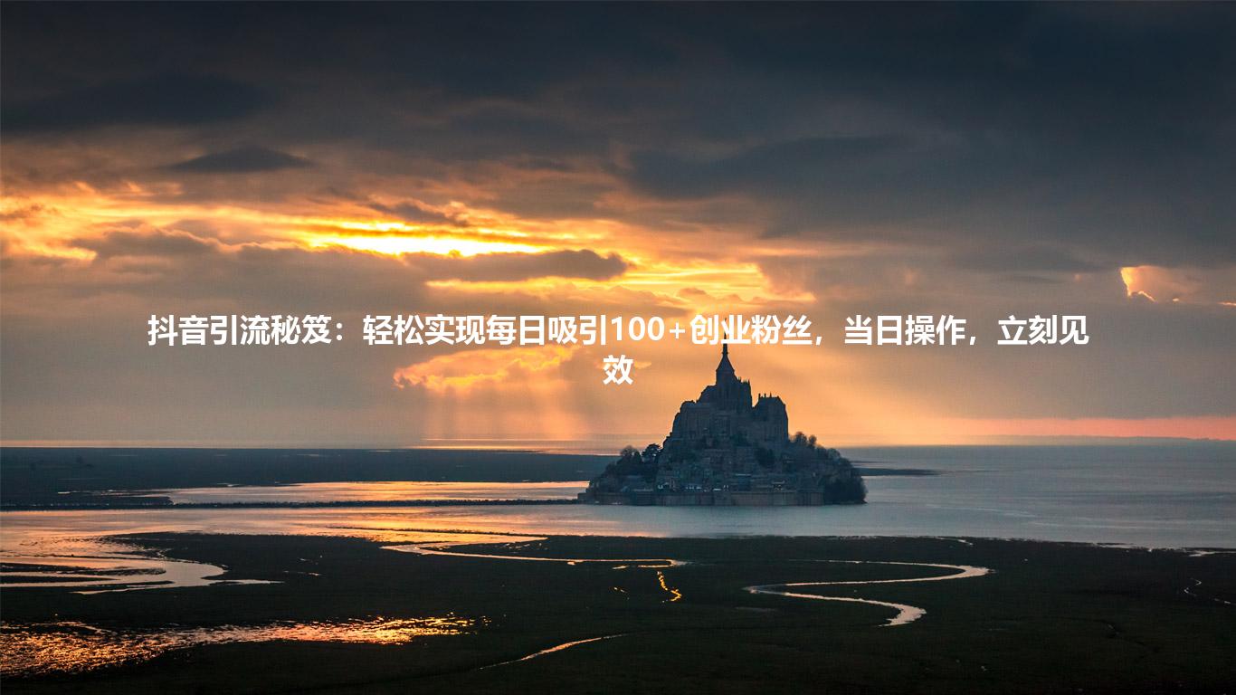 抖音引流秘笈:轻松实现每日吸引100+创业粉丝,当日操作,立刻见效