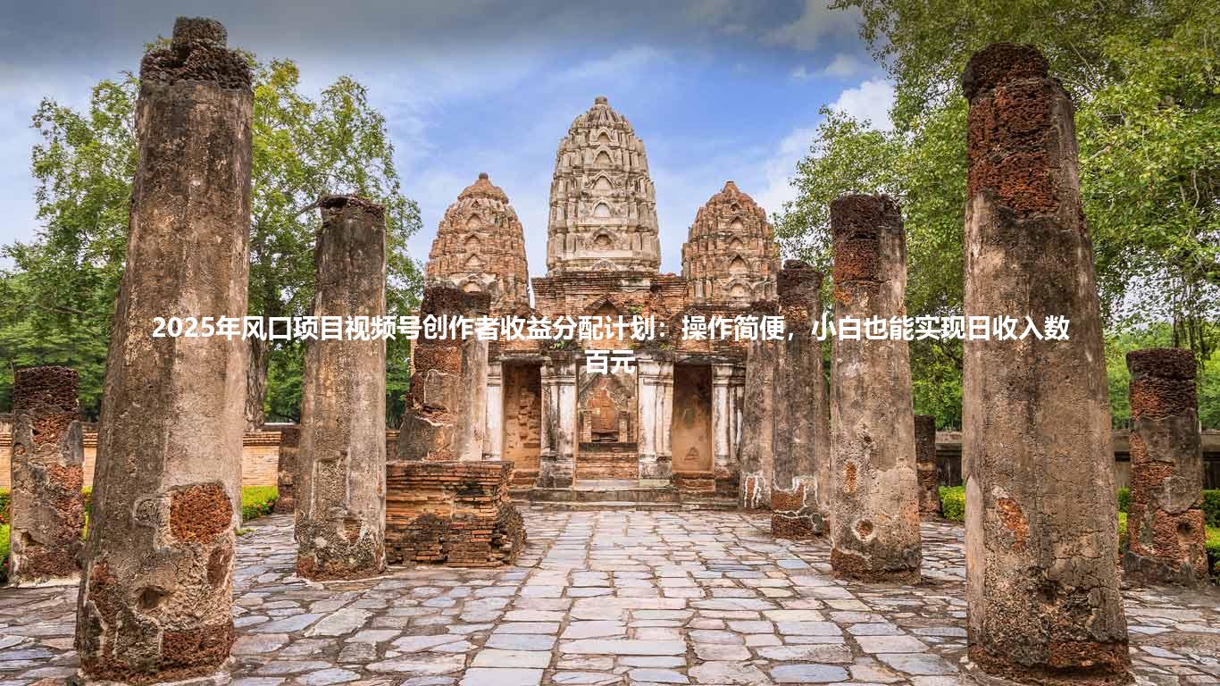 2025年风口项目视频号创作者收益分配计划：操作简便，小白也能实现日收入数百元