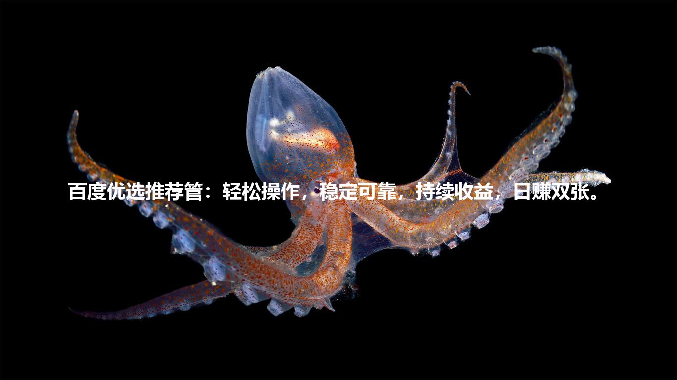 百度优选推荐管:轻松操作,稳定可靠,持续收益,日赚双张。