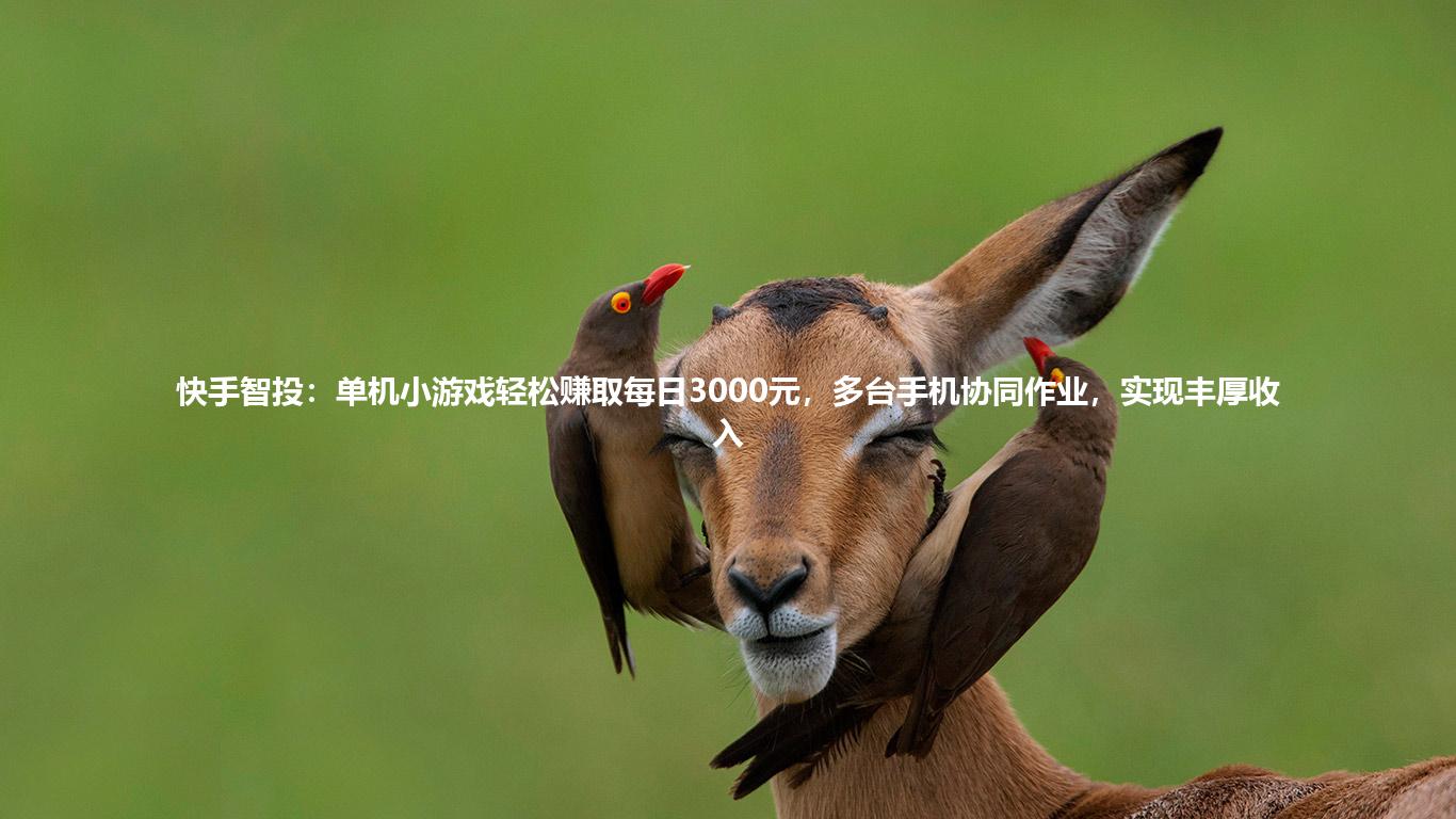 快手智投:单机小游戏轻松赚取每日3000元,多台手机协同作业,实现丰厚收入