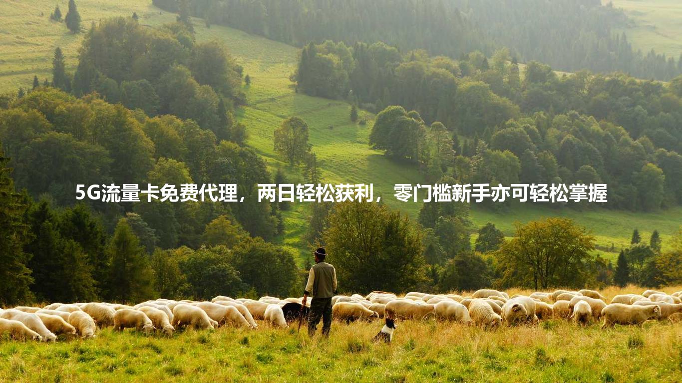 5G流量卡免费代理，两日轻松获利，零门槛新手亦可轻松掌握