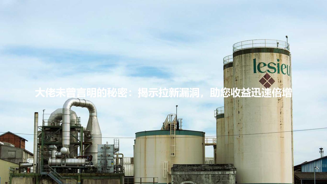 大佬未曾言明的秘密:揭示拉新漏洞,助您收益迅速倍增