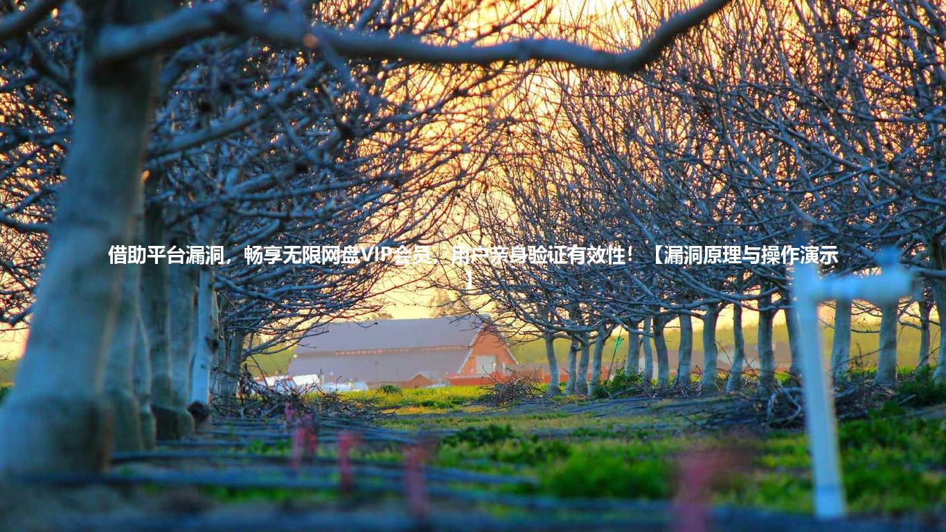 借助平台漏洞,畅享无限网盘VIP会员,用户亲身验证有效性!【漏洞原理与操作演示】