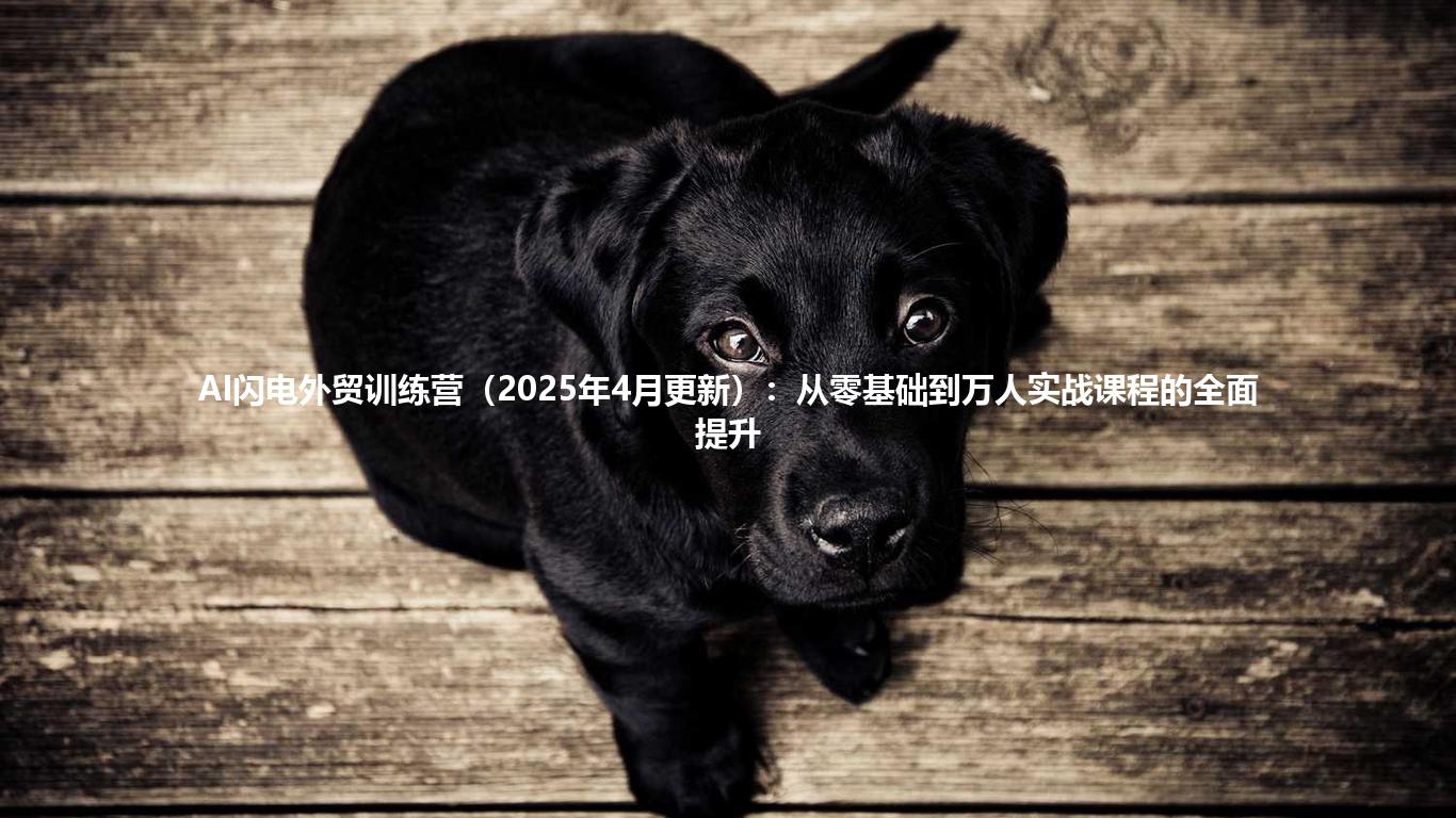 AI闪电外贸训练营(2025年4月更新):从零基础到万人实战课程的全面提升