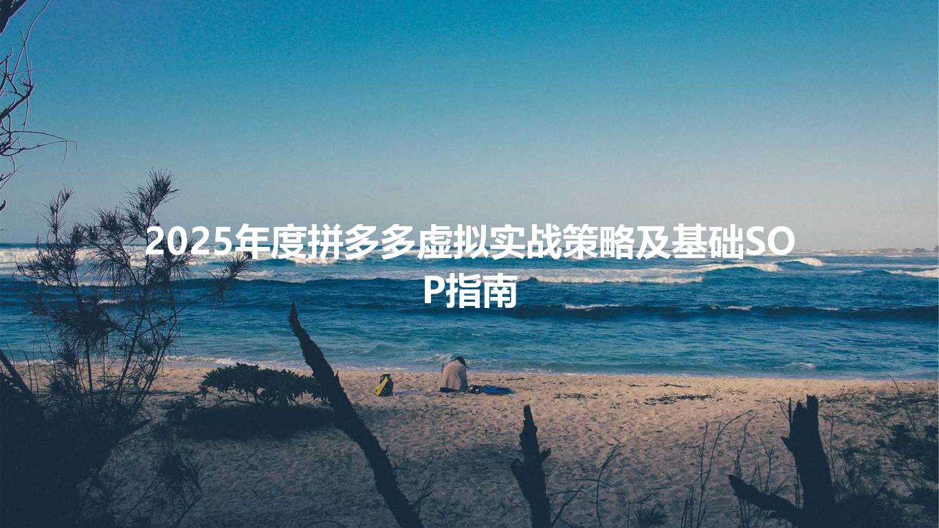 2025年度拼多多虚拟实战策略及基础SOP指南